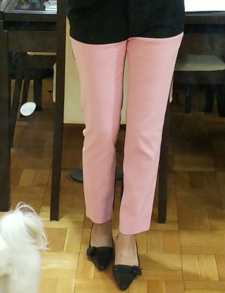 NEW Tibi pants
